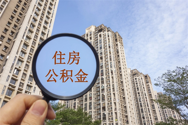 鞍山深圳公积金（深圳公积金首页）